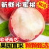 主图