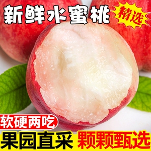 新鲜水蜜桃现摘毛桃蜜桃脆桃宝宝孕妇水果脆甜桃子天水产地鲜水果