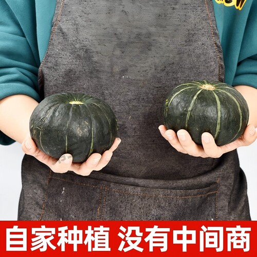 正宗板栗香味贝贝南瓜