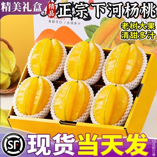 顺丰礼盒杨桃 福建下河5斤大果当季现摘新鲜五角星甜阳桃水果整箱
