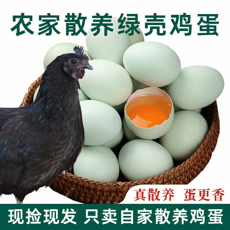 大别山鸡蛋营养高品质鲜嫩好吃