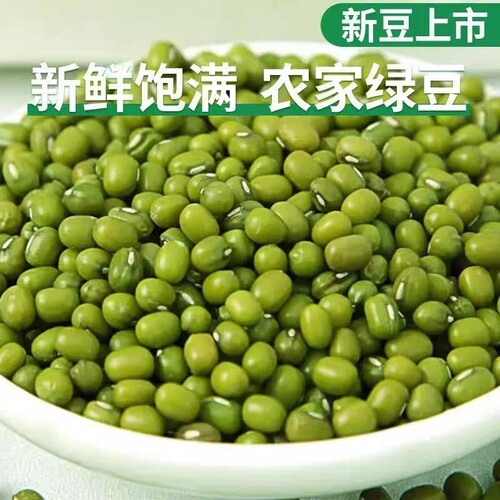 新绿豆小绿豆中绿豆芽绿豆汤发芽绿豆糕解暑批发袋装半斤容易皮薄