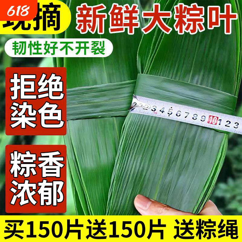 野生粽叶新鲜粽子叶特大号官方旗舰店端午节包甜咸粽专用叶子真空