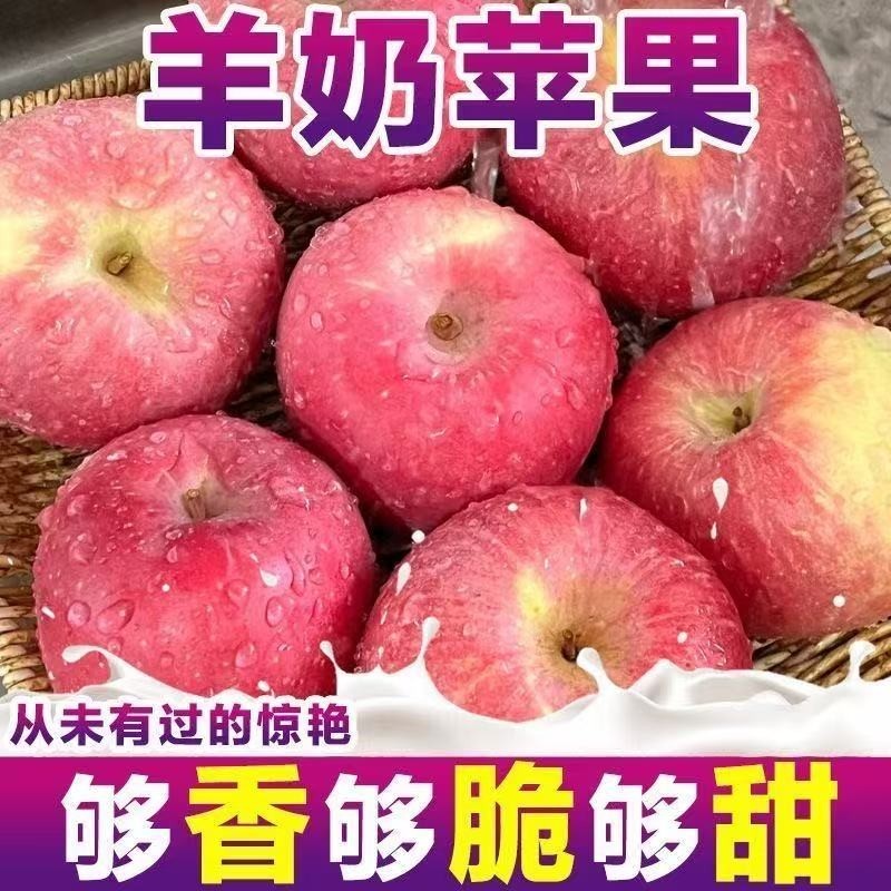 【果园直发】正宗山西万荣羊奶红富士苹果水果脆甜冰糖心新鲜水果