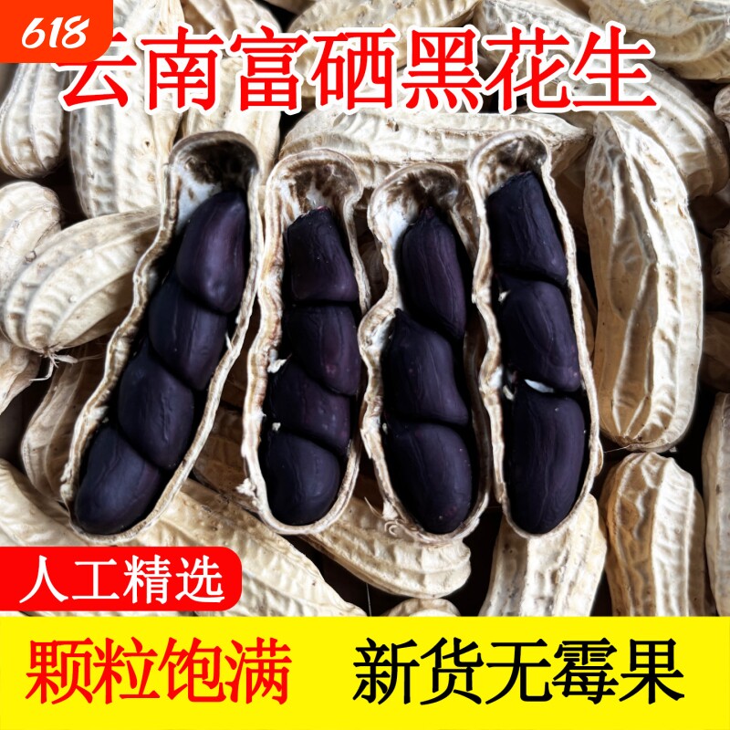 云南富硒黑花生带壳小粒原味甜黑皮种籽特产2025新货花生晒干健康