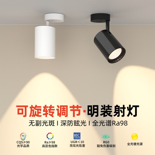 吸顶式明装射灯免开孔聚光灯背景墙家用cob洗墙灯商铺展厅天花灯