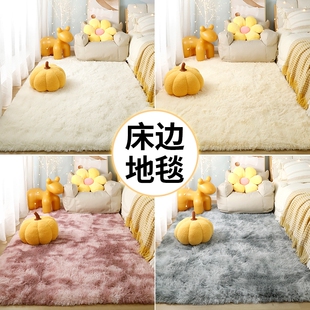 地毯卧室地垫毛毯床边毯新款家用坐垫少女房间客厅茶几毯沙发阳台