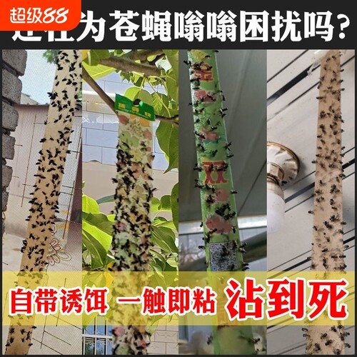 【送灭蝇王】一扫光诱杀苍蝇贴