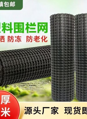 塑料围网养殖防护拦鸡鸭胶网