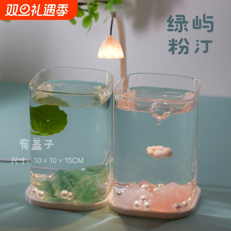 新中式2025新款斗鱼专用隔离双缸客厅办公室造景摆件夜灯小型鱼缸