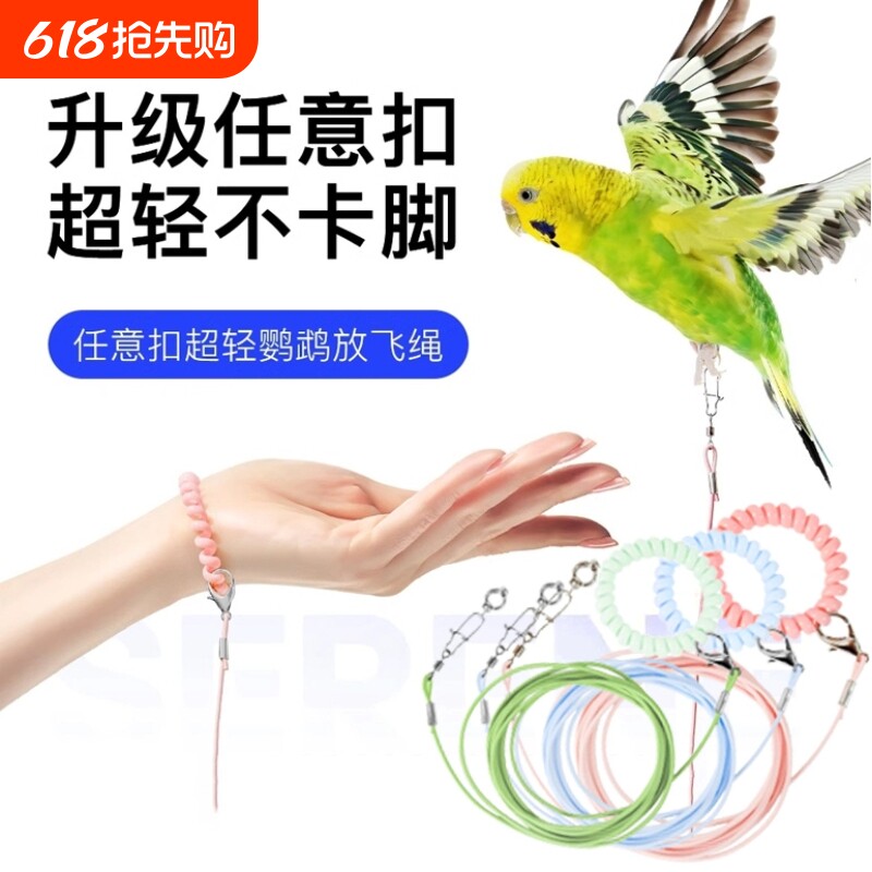 专用鹦鹉牵引绳放飞绳弹力不伤脚外出训练绳虎皮玄凤牡丹脚环脚链