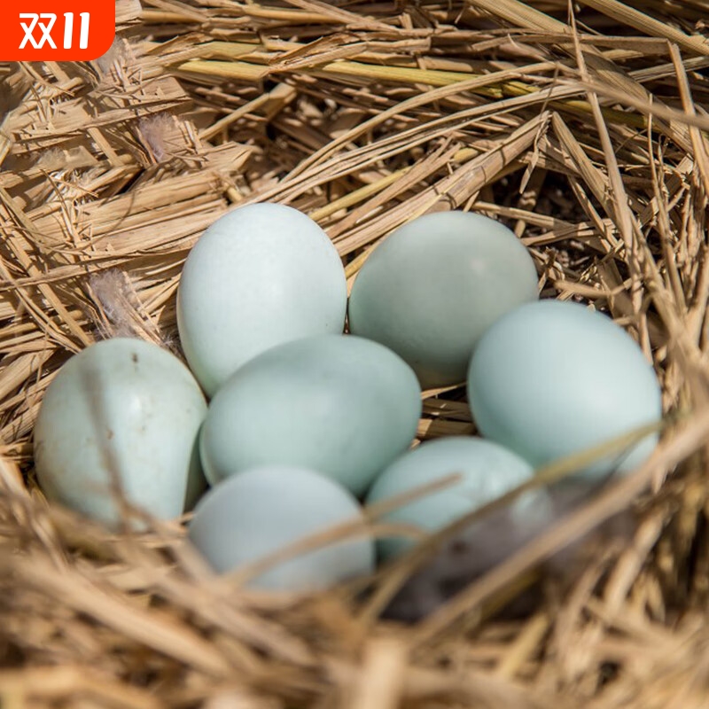 农家散养绿壳乌鸡蛋新鲜现捡现发士鸡蛋正宗绿壳蛋乌鸡蛋