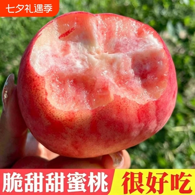 【头茬】正宗山西红不软脆蜜桃脆甜桃毛桃水蜜桃子当季整箱批发价
