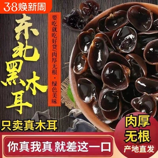 东北特产野生黑木耳干货包邮小碗耳土特产无根干木耳凉拌年货节