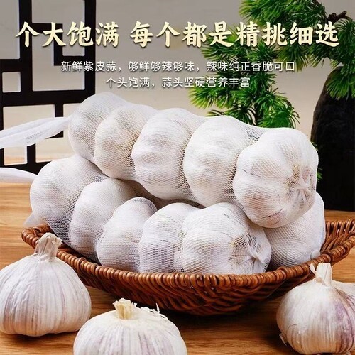 2026年干蒜精品大蒜紫白皮大蒜头干蒜金乡大蒜农家自种旗舰店包邮