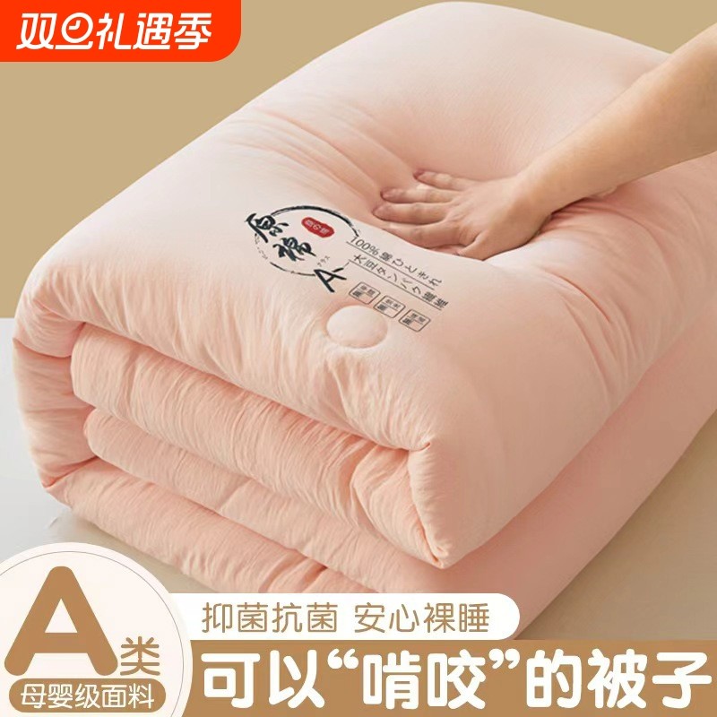 大豆纤维被子被芯冬被加厚保暖棉春秋单人宿舍空调被四季通用棉被