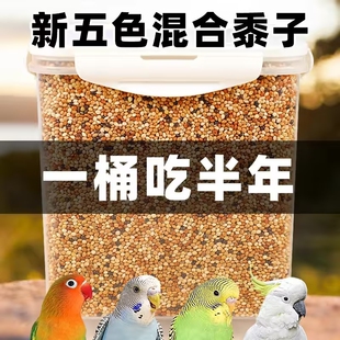 鹦鹉鸟粮饲料虎皮玄凤牡丹鸟食带壳黄谷子五色黍子小米混合专用粮