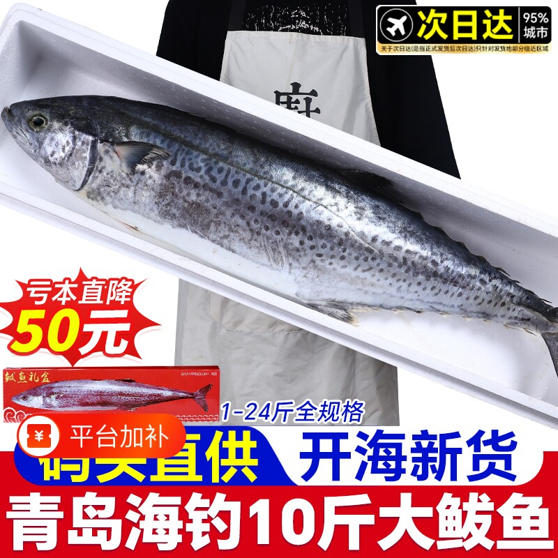 青岛大鲅鱼马鲛鱼新鲜活冷冻海鱼鲐鲅鱼特大整箱条10斤燕鲅鱼水产
