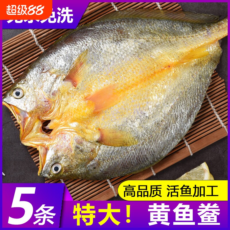 福建宁德霞浦黄鱼鲞干货新鲜黄花鱼大黄鱼三去小黄鱼海鱼冷冻水产图片