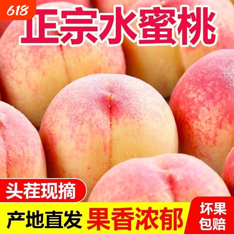 陕西新鲜高山现摘撕皮软水蜜桃4.5斤