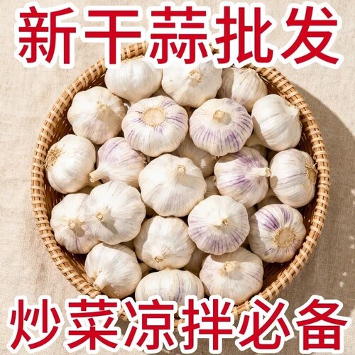 2026金乡大蒜新干蒜山东紫皮大蒜农家自种多瓣蒜干蒜整箱包邮批发