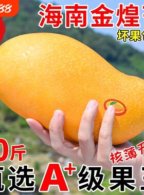 正宗海南金煌芒果现摘青甜大果