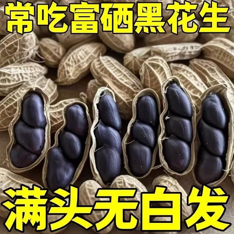 黑花生正品云南黑花生带壳紫衣