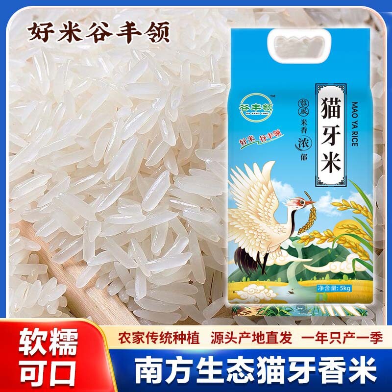 10斤新米猫牙米长粒香米正宗一级米超长粒南方米煲仔饭米食用谷丰