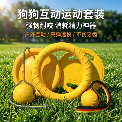 狗狗互动耐咬飞盘|超2000次加购