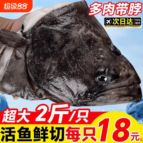 深海鲽鱼整条蝶鱼中段碟鱼新鲜冷冻海水鱼鸦片鱼比目鱼鲜活水产