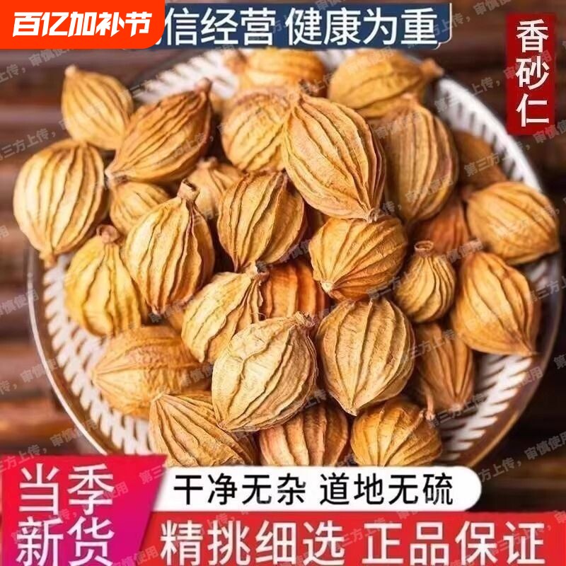炖肉金砂仁四川香砂仁粒无硫烧菜川砂仁卤料颗粒火锅正宗批发香料