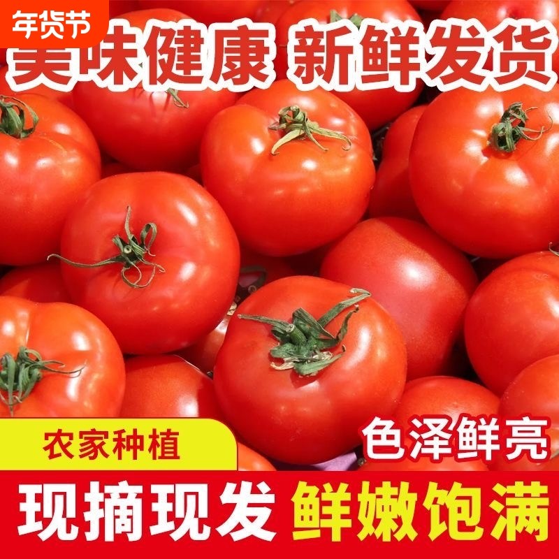 云贵川农家现摘露天沙瓤西红柿新鲜普罗旺斯农家生吃水果番茄5,水产肉类/新鲜蔬果/熟食,番茄,淘宝优惠券,粉丝福利购,淘宝优惠卷
