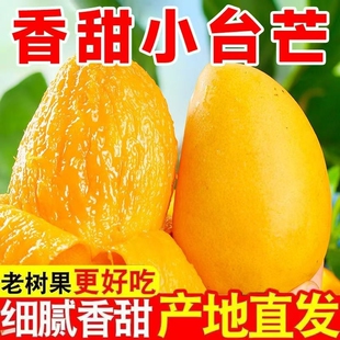 正宗广西百色田东大台芒台农芒新鲜当季水果整箱大果9斤包邮现摘