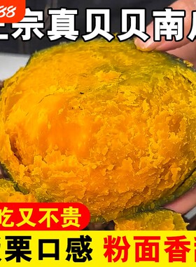 新鲜贝贝南瓜粉面香甜