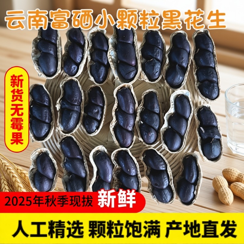 2025年云南富硒黑花生特产带壳小粒黑皮花生米花生原味新鲜新货