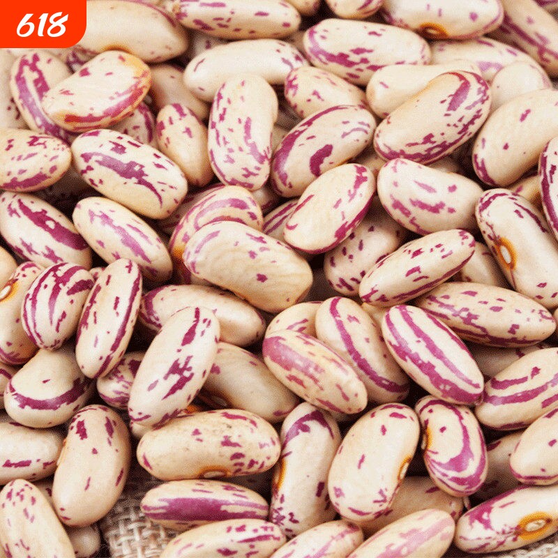 营养雀蛋豆蛋白豆云南特产红豆花红腰豆花芸豆五谷杂粮豆新货新鲜