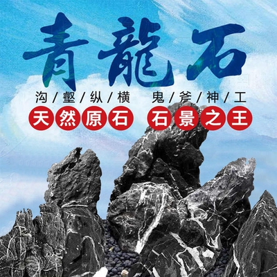 青龙石造景石假山原石鱼缸开缸盆景附石园林景观石酸洗英石石片