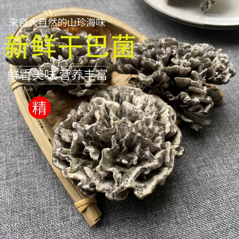 26年新鲜干巴菌云南土特产