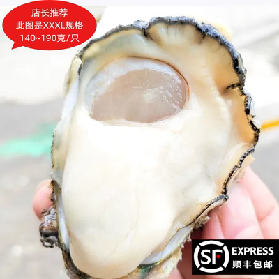 湛江生蚝特大蚝顺丰包邮