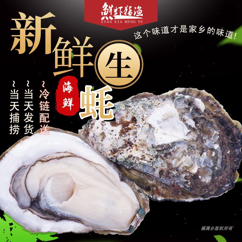 湛江特产生蚝鲜活带壳新鲜海鲜水产生吃牡蛎即食海蛎子整箱5斤