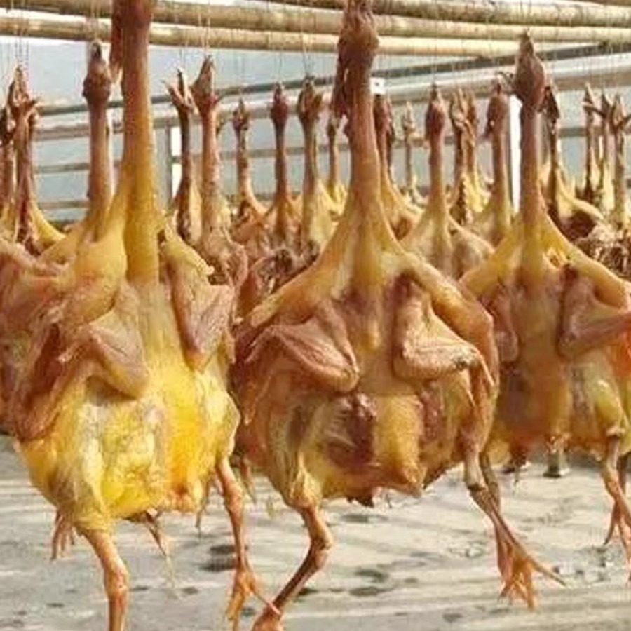 湖北特产风干鸡正宗荆门十里铺整只农家自制咸鸡特色腊干鸡腊鸡子