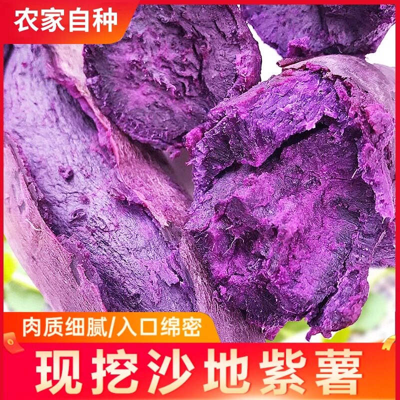 粉糯香甜沙地紫薯红薯