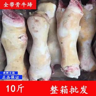 净重10斤多黄牛蹄整只新鲜冷冻牛蹄子带骨牛蹄生牛蹄带筋优质牛蹄