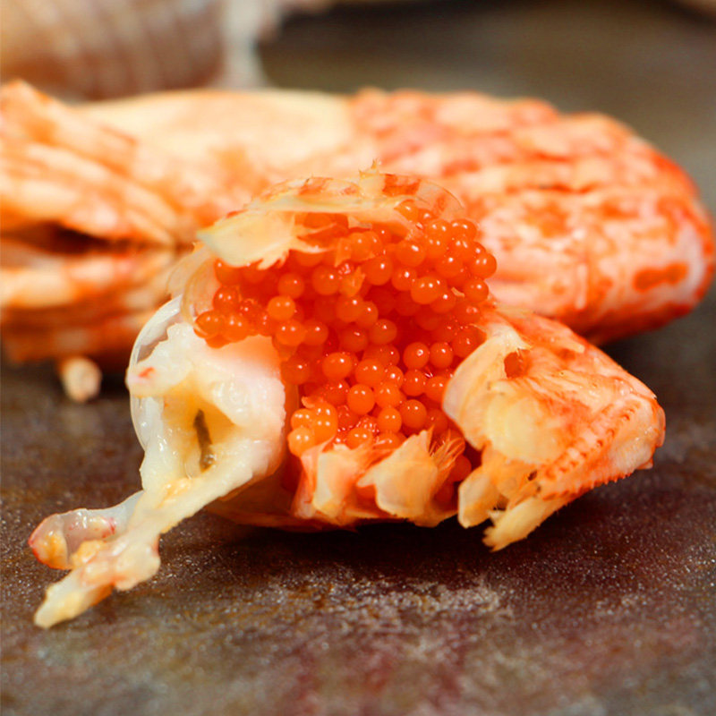 格陵兰虾莱伯虾俄罗斯火龙虾1kg北极虾鬼海老虾鲜活速冻即食冰虾