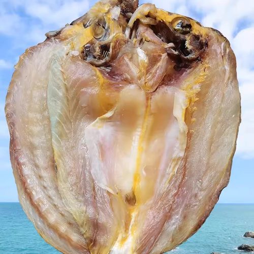 温州特产黄鱼鲞海鲜鱼干海鲜