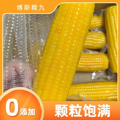 14支7斤左右黄金糯九黑龙江直发