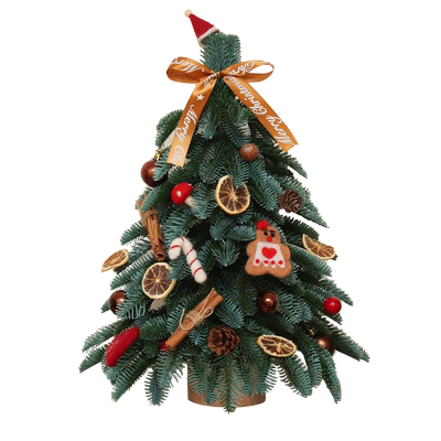 迷你家用诺贝松圣诞树