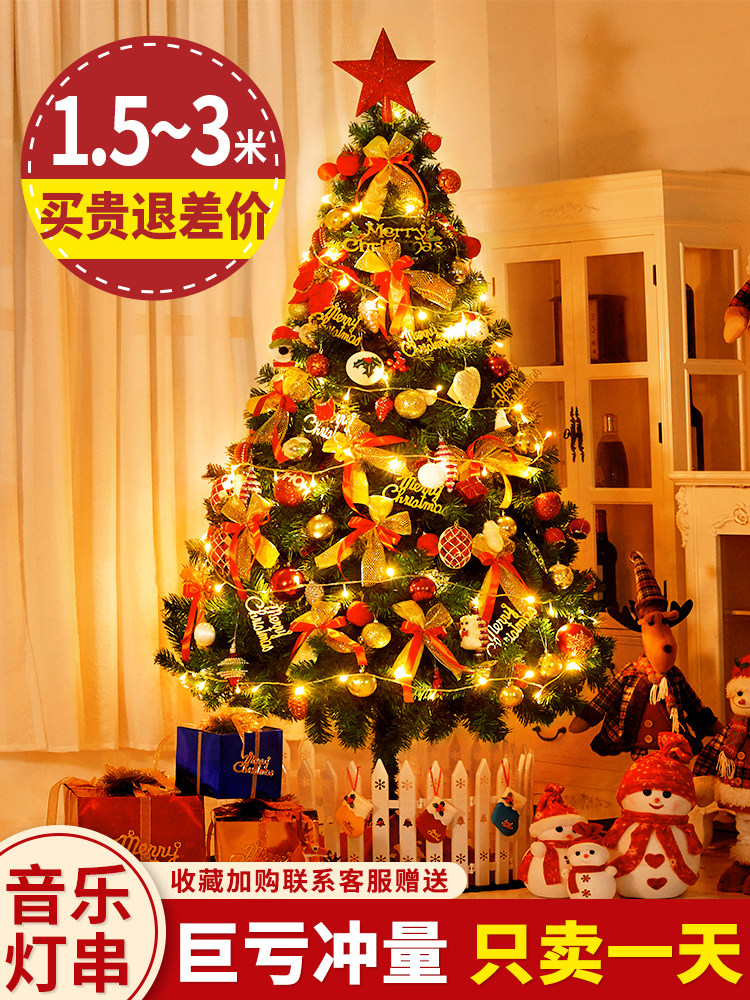 Елки домой пакет шифрование diy свет крупномасштабный украшение 2025 новый высокий Классные входы рождество декоративный