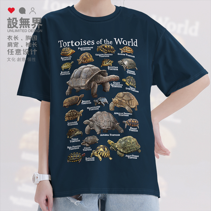 乌龟草龟合集种类科普脊索动T恤