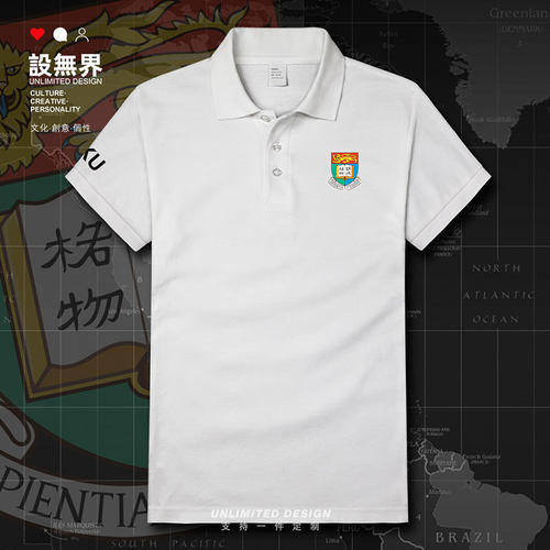 中国香港大学HKU学生翻领衫POLO